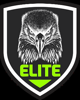Elite Segurança
